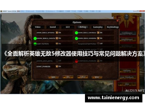 《全面解析英雄无敌5修改器使用技巧与常见问题解决方案》